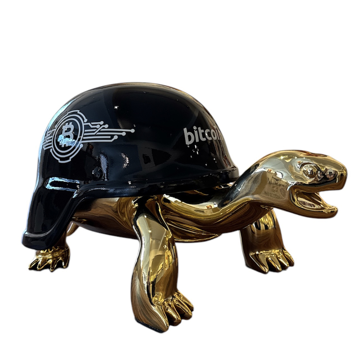 van apple bitcoin turtle 1